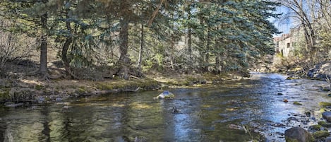 A river flowing through a forested area with trees and rocks along the banks.