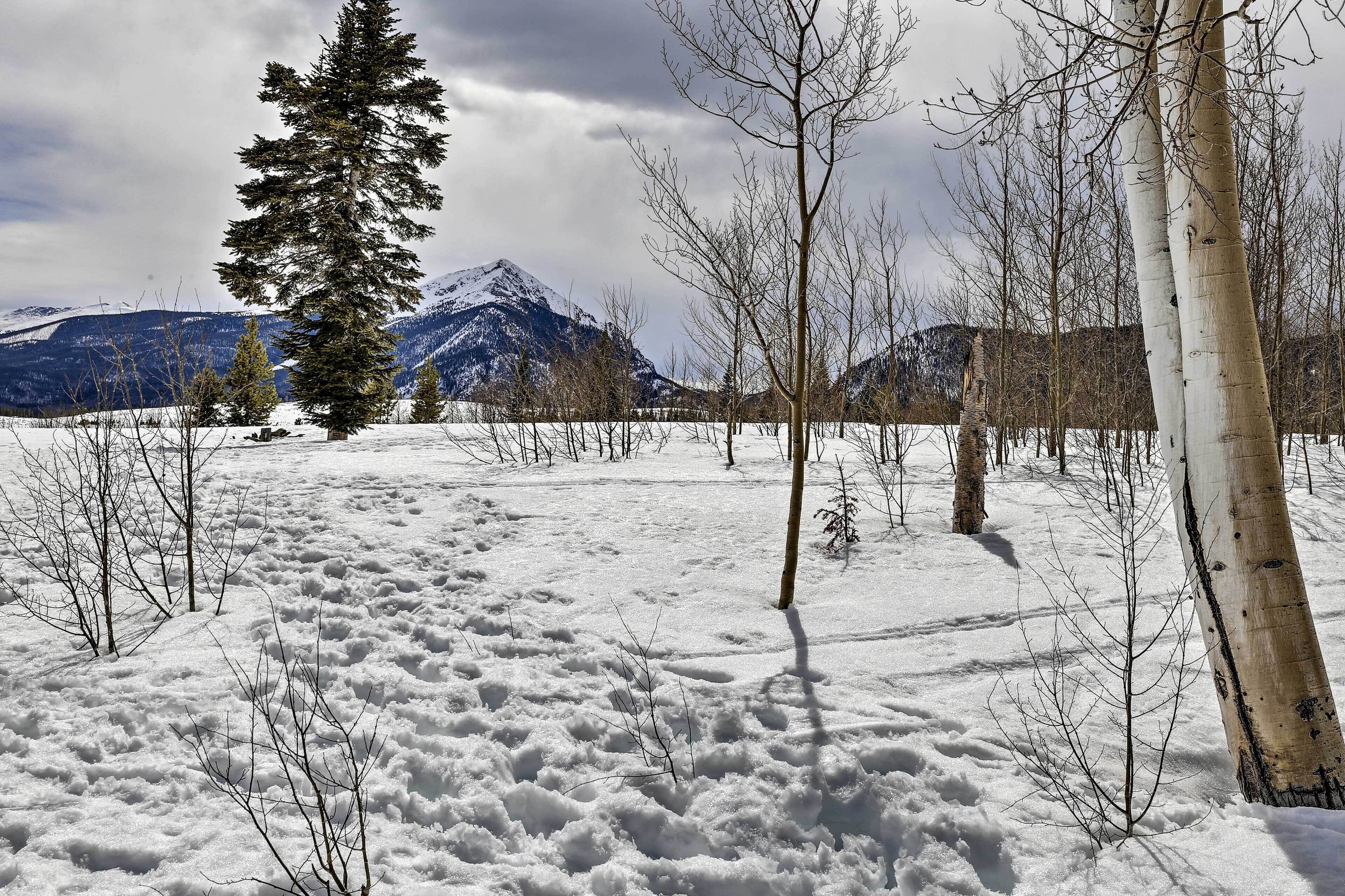 A snowy landscape with a prominent mountain in the background, surrounded by leafless trees.