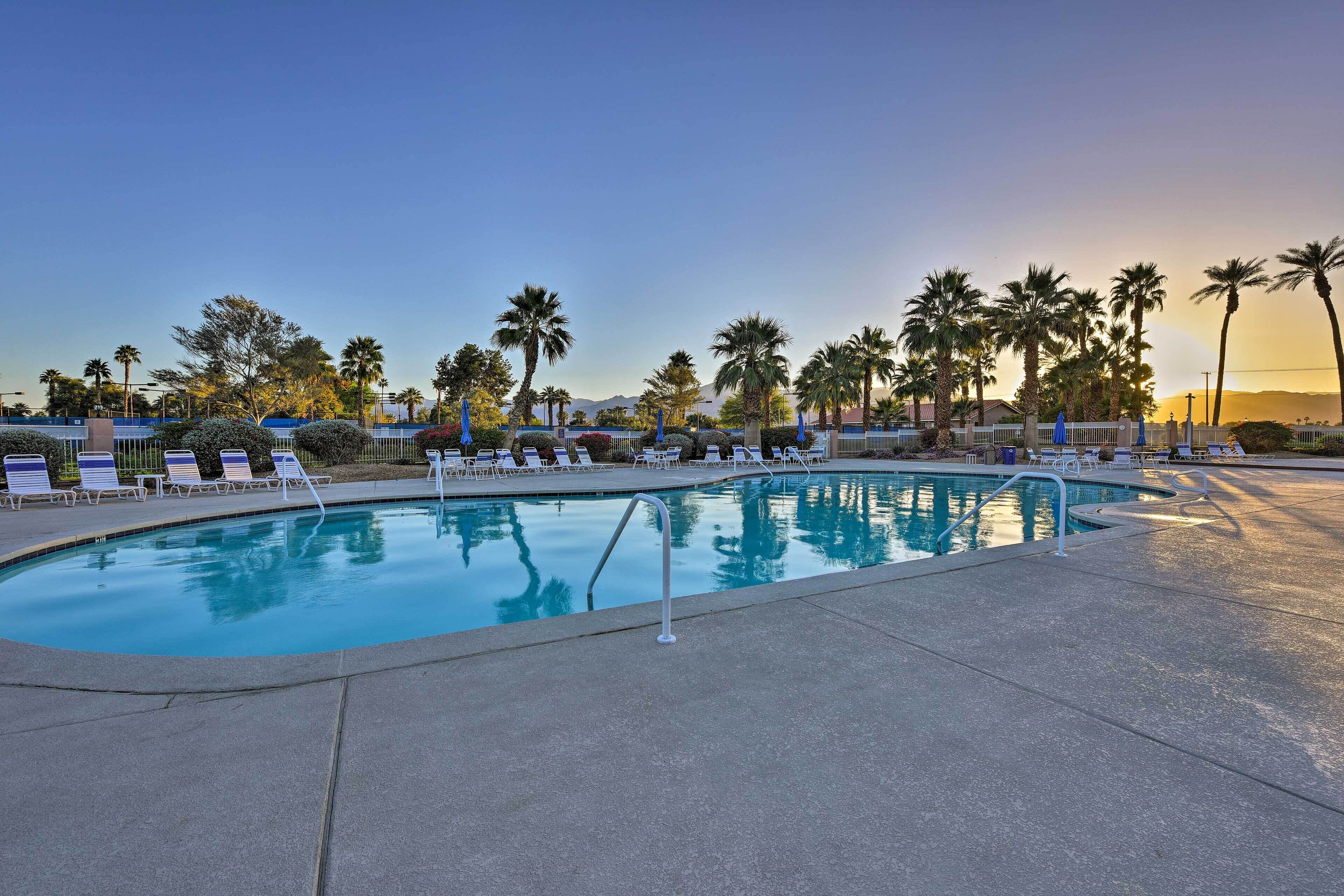 A swimming pool with lounge chairs and palm trees.