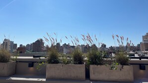 A rooftop garden with concrete planters and tall grasses against a city skyline. - Trendy Loft in Güemes - Walk to Art, Bars & Antiques (Unquillo asociacion civil corral de barrancas)