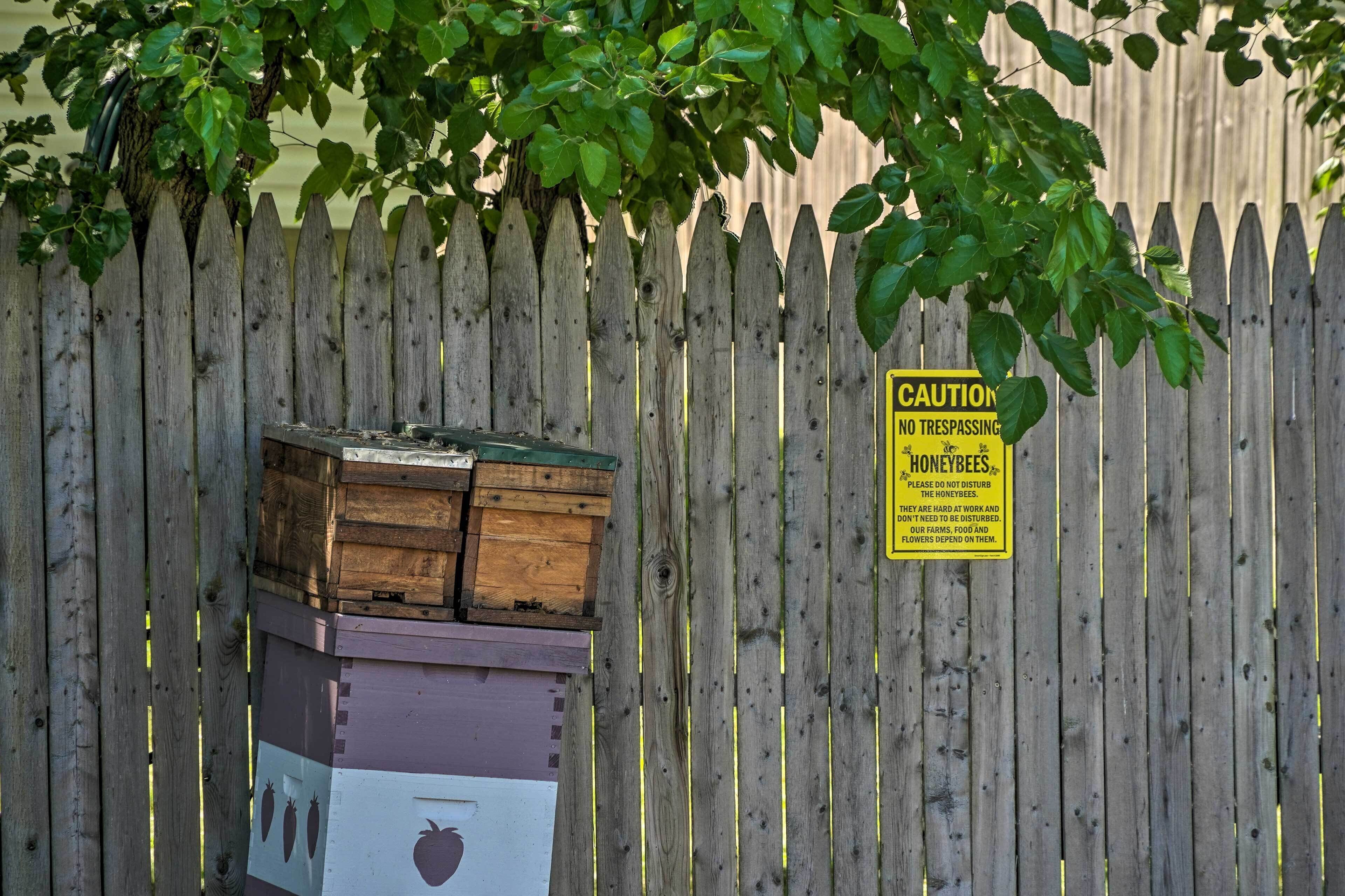 Rumah (3 Bedrooms) | Interior