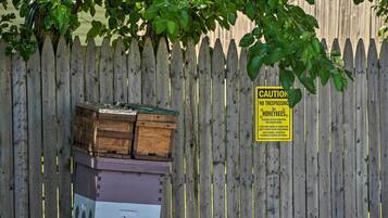 Rumah (3 Bedrooms) | Interior