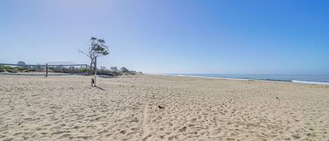 Uma praia arenosa com pegadas, uma árvore solitária e um céu azul límpido.