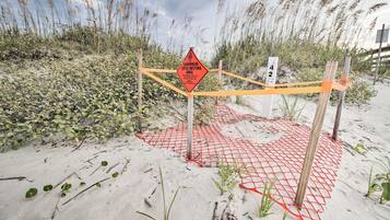 Appartement (1 Bedroom) | Interieur