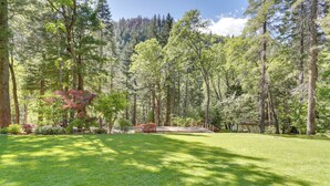 A forested area with a grassy field and a wooden deck. - Dunsmuir Apartment ~ 17 Mi to Mt Shasta Ski Park! (Dunsmuir)