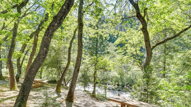 A forested area with picnic tables and a bench. - Dunsmuir Apartment ~ 17 Mi to Mt Shasta Ski Park! (Dunsmuir)
