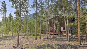 A cabin surrounded by tall pine trees in a forested area.