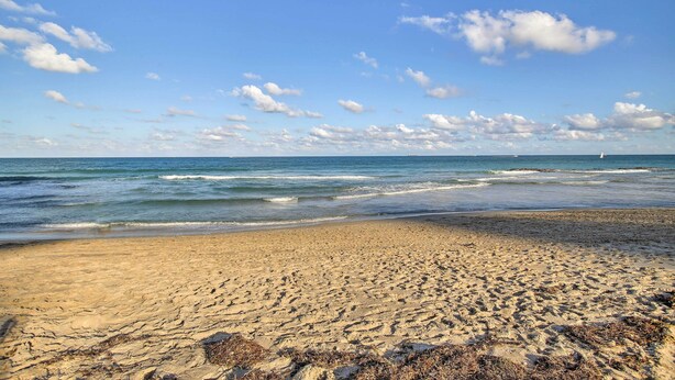 A sandy beach with gentle waves and a clear sky. - Riviera Beach Home w/ Pool - Walk to Beaches! (Singer Island)