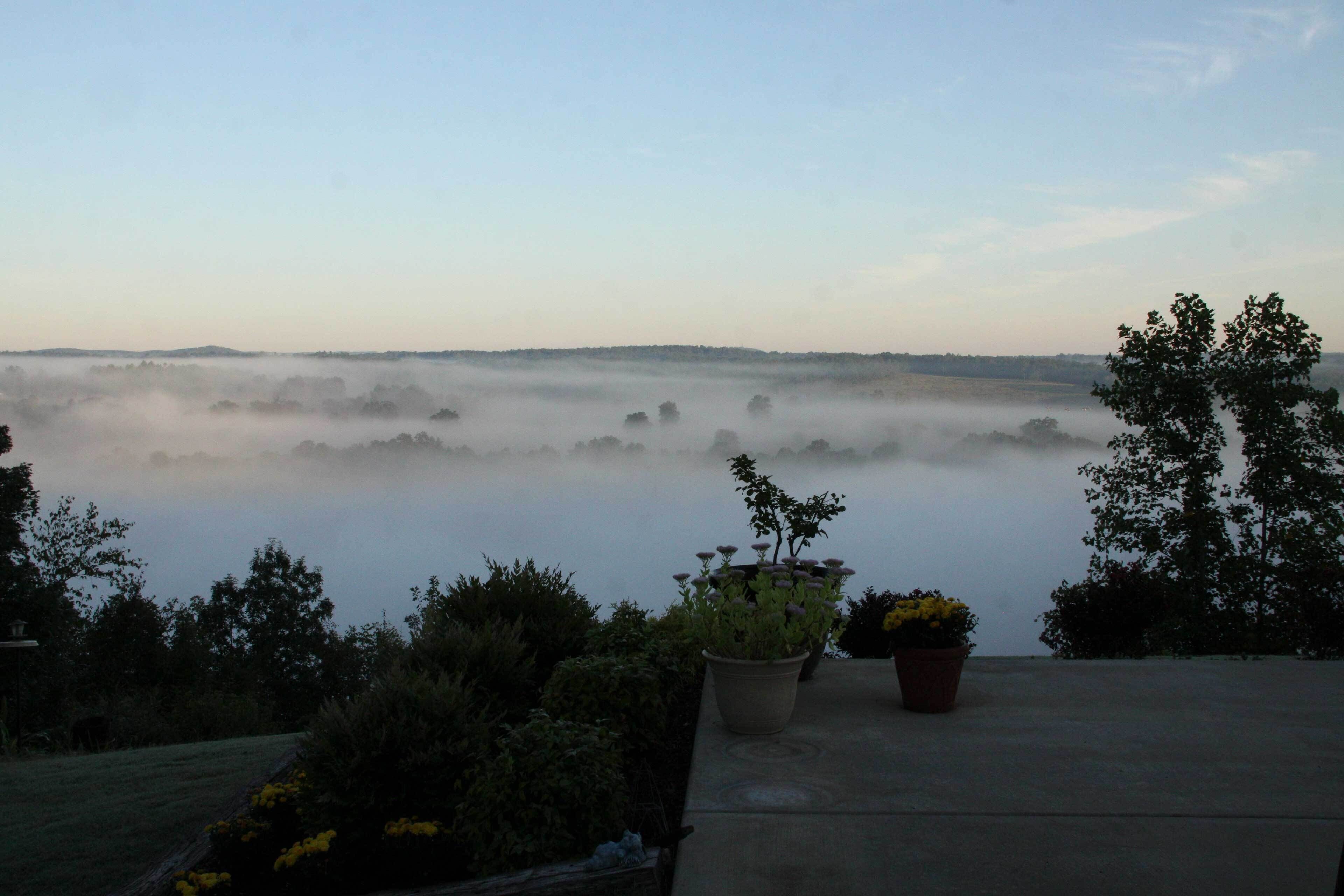 Un jardin agrémenté de plantes en pot, offrant une vue sur un paysage brumeux.