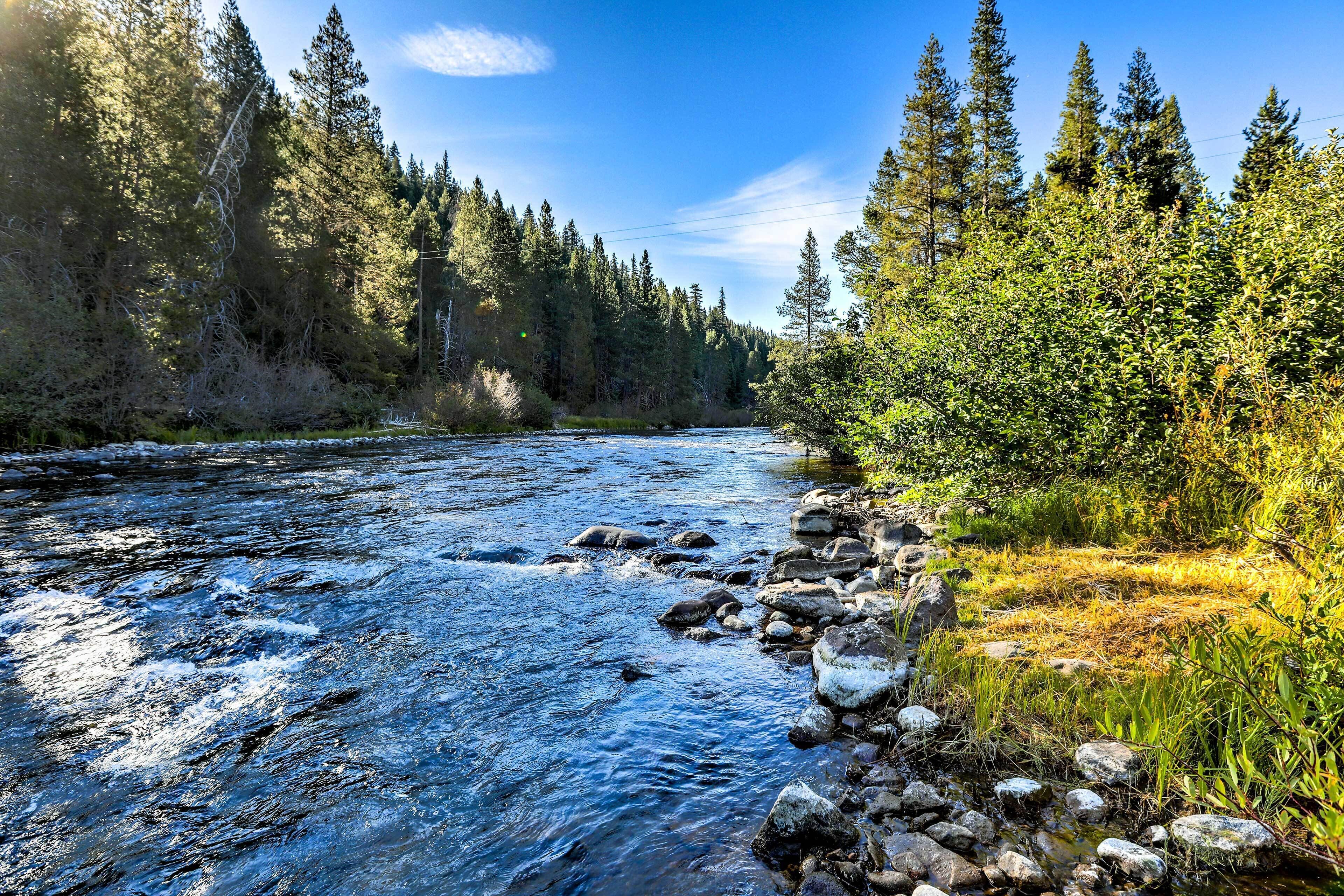 Un río que atraviesa un bosque con rocas y árboles.
