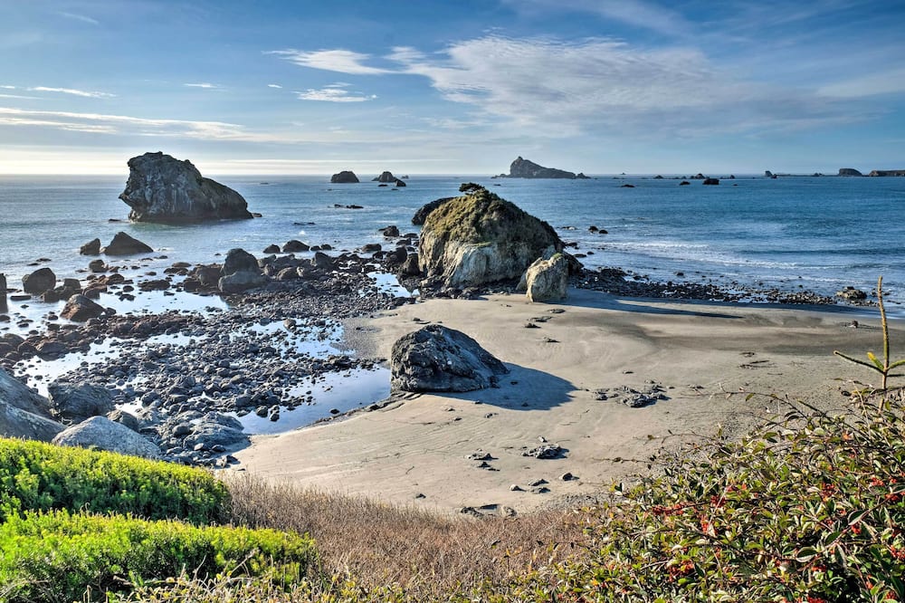 Unique Dog-friendly Log Cabin: Short Walk to Ocean - Bertsch-Oceanview, CA