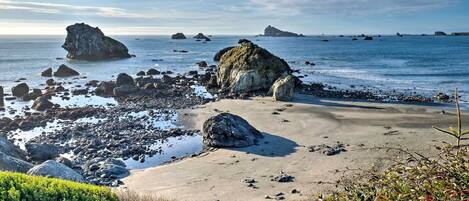 House (1 Bedroom) | Interior