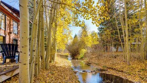 A serene outdoor area with a small stream, surrounded by trees with yellow leaves, and a bench with a chair. - < 1 Mi to Dtwn: Creekside Frisco Home w/ Fire Pit (Frisco)