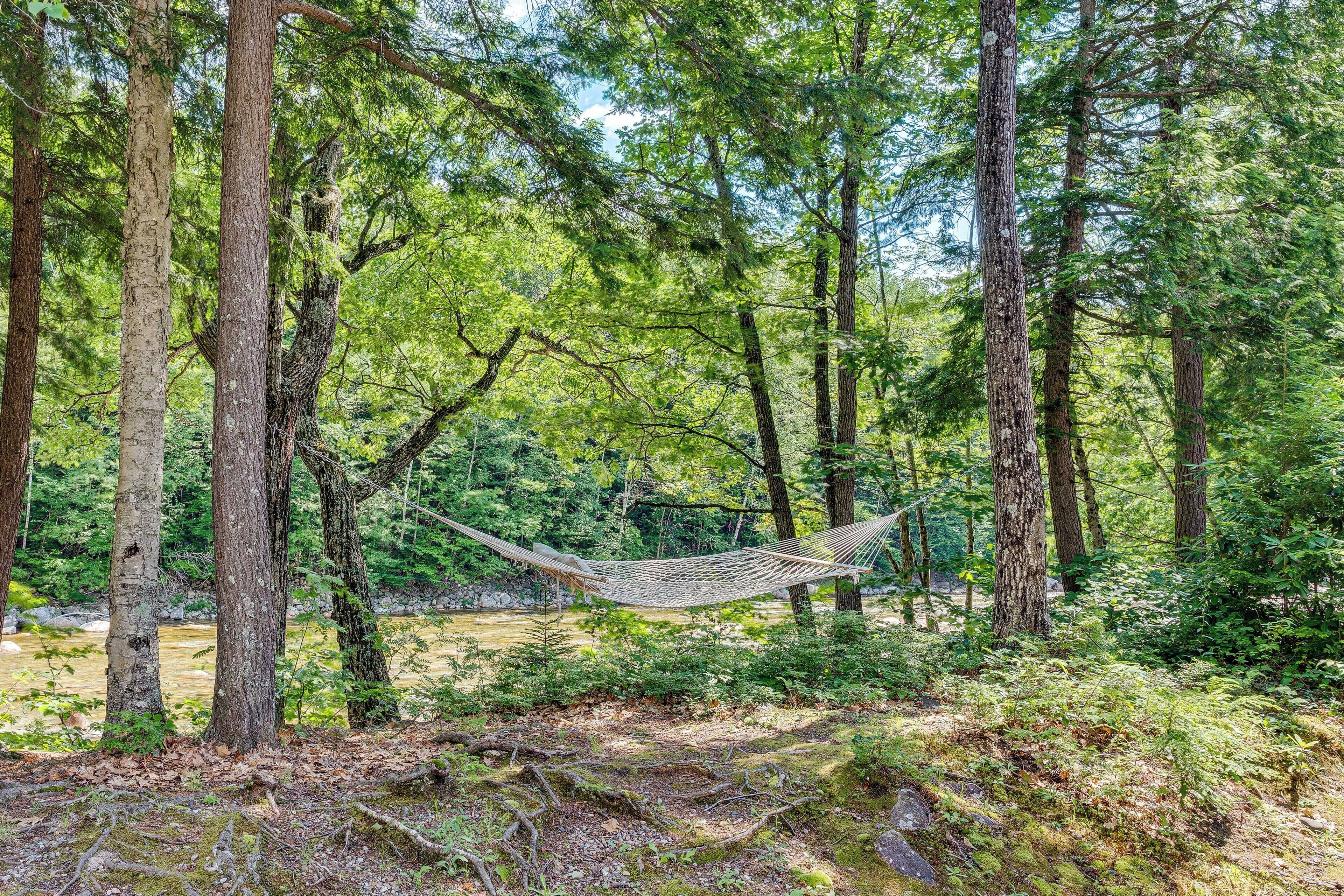 A hammock in a forest with trees and a stream.
