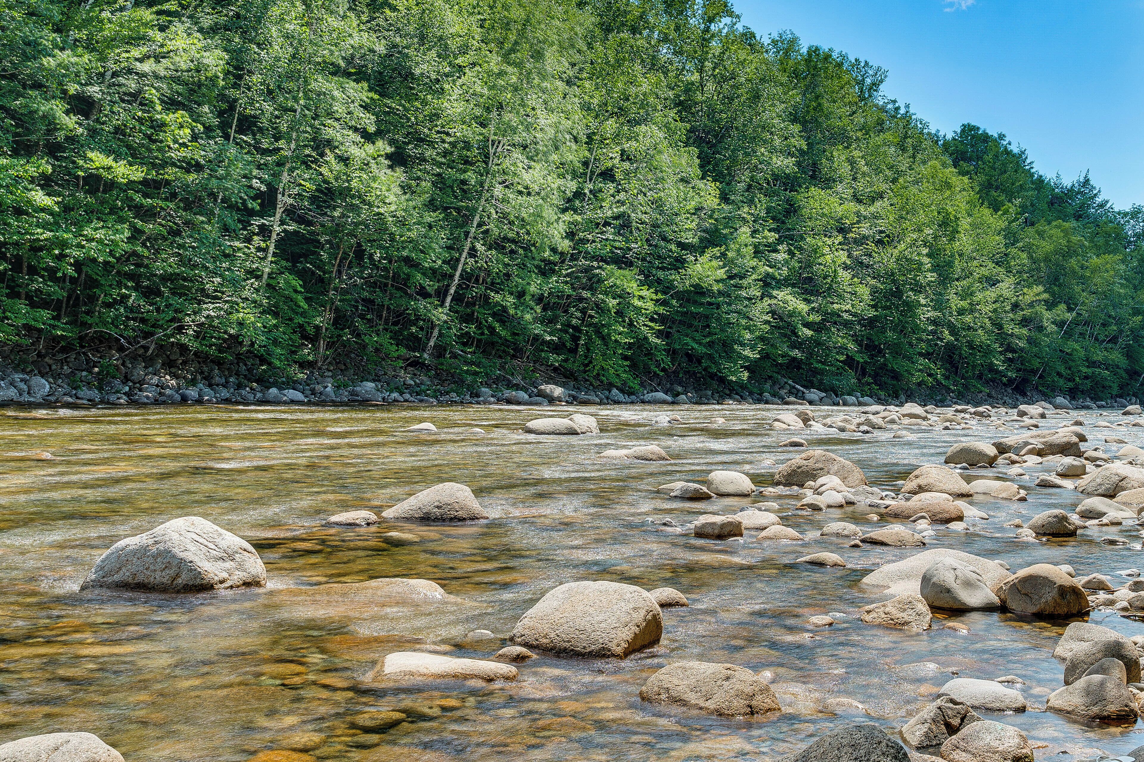 A river with clear water and large rocks, surrounded by dense green forest.