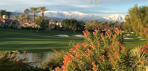 Golf - Indian Ridge Seasonal Rental for sun and fun! (Palm Desert)