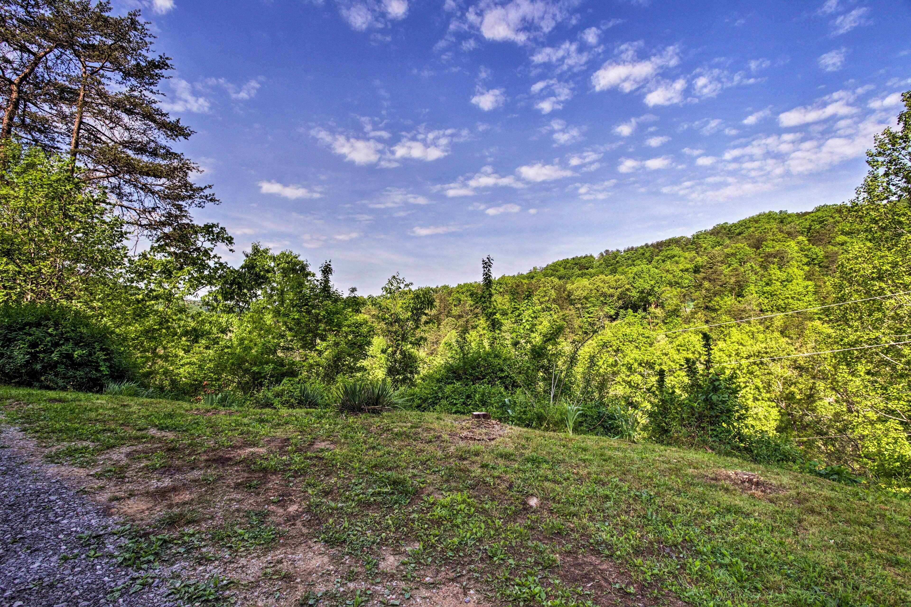 A natural landscape with a dirt path, dense green foliage, and a clear sky.