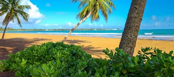 Coastal Puerto Rican Apartment - Walk to Beach!
