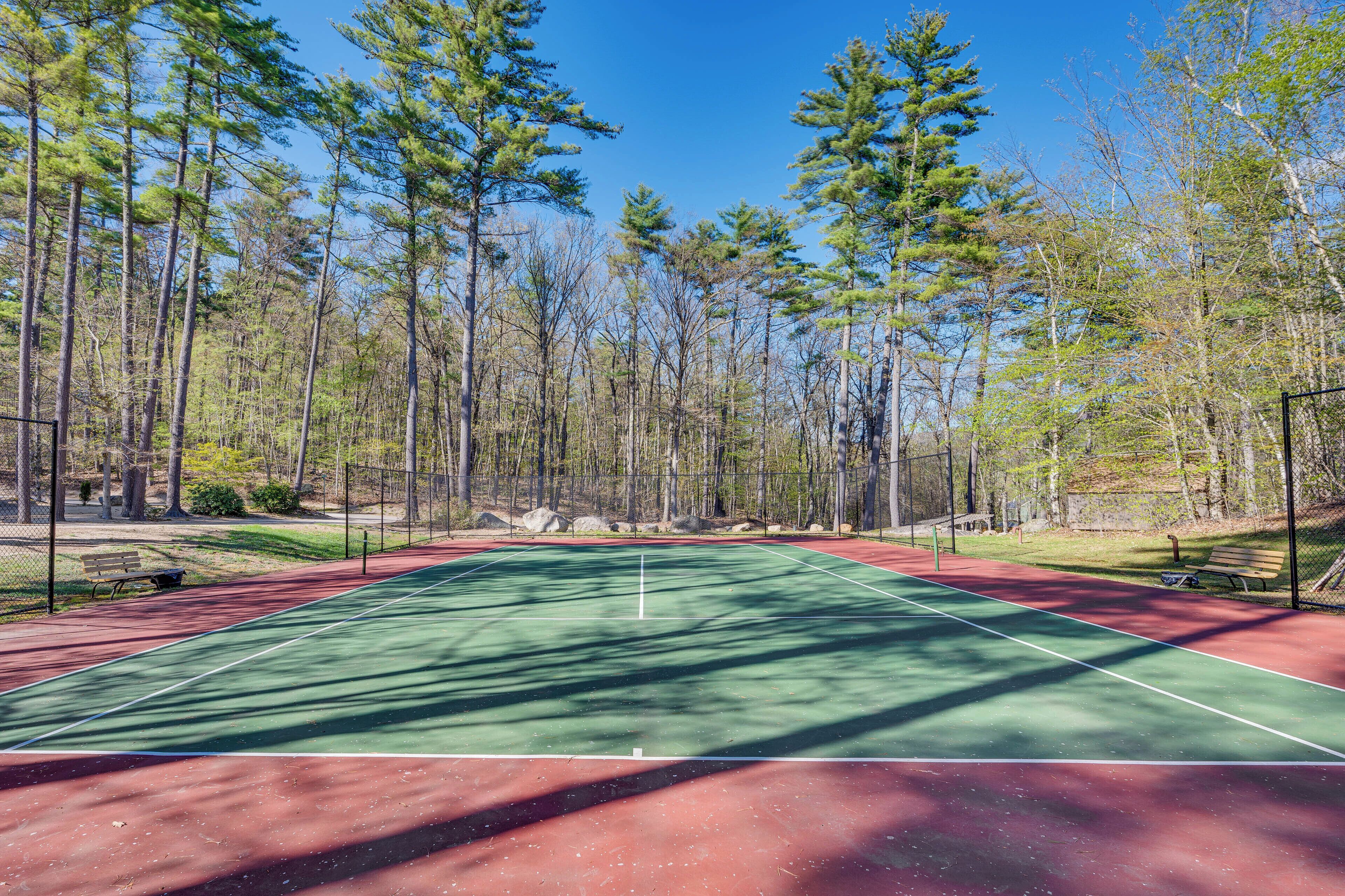 A tennis court surrounded by tall trees and a clear blue sky.