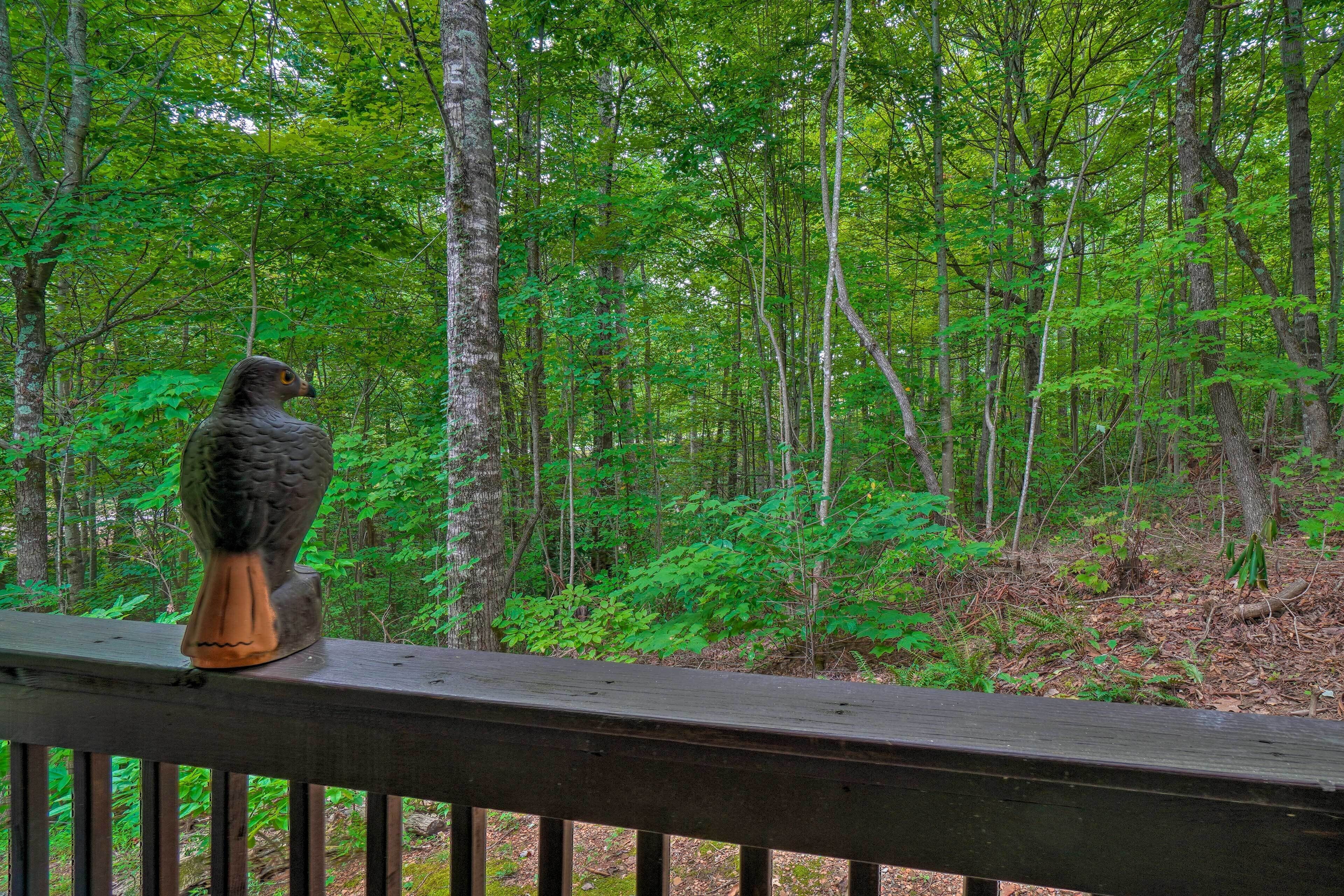 A wooden deck with a bird sculpture overlooking a dense forest.
