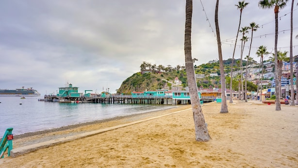 A beach with a pier, palm trees, and a cruise ship in the background. - Tropical Island Escape w/ Deck, Walk to Avalon Bay (Avalon)