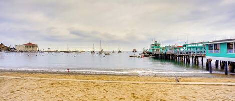 House (1 Bedroom) | Interior