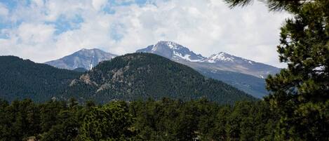 Un paisaje montañoso con bosques densos y un pico destacado.
