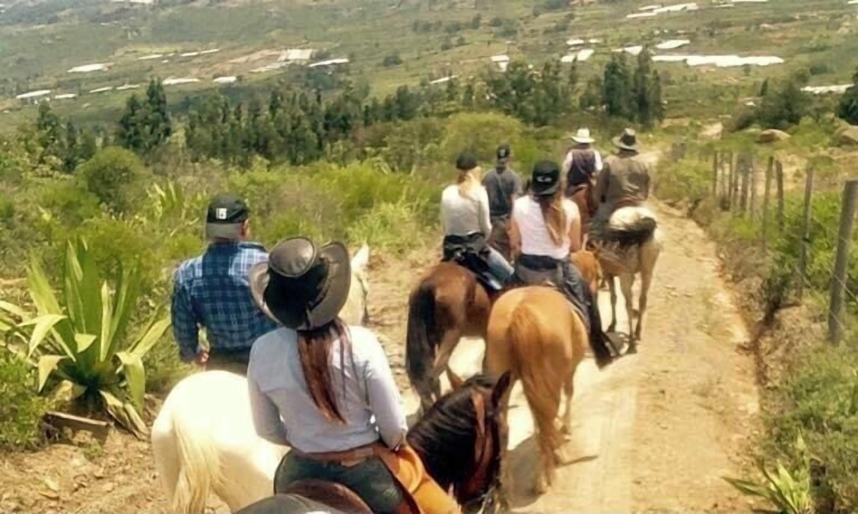 A group of people riding horses on a dirt path surrounded by greenery.