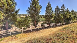 A wooden fence along a hillside with tall evergreen trees and a clear blue sky. - Incredible Templeton Retreat w/ Private Pool! (Templeton)