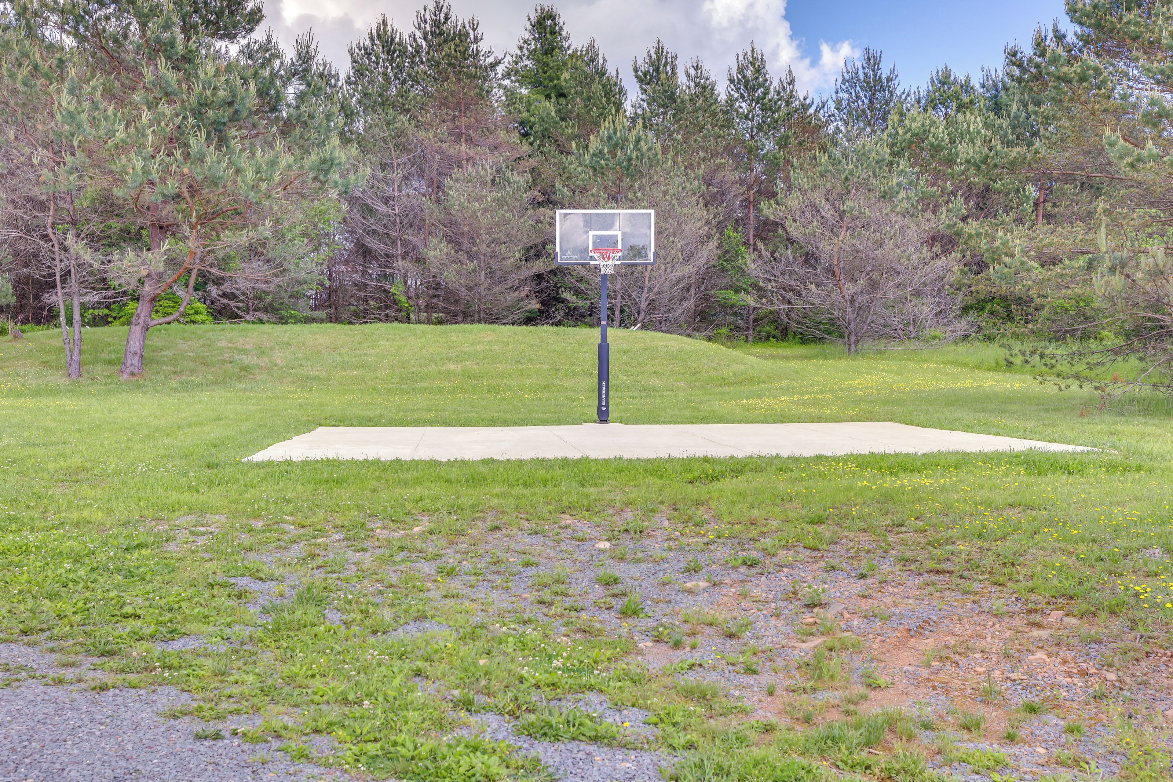 A basketball court with a hoop, surrounded by grass and trees.