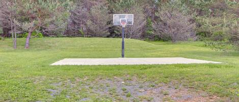 A basketball court with a hoop, surrounded by grass and trees.