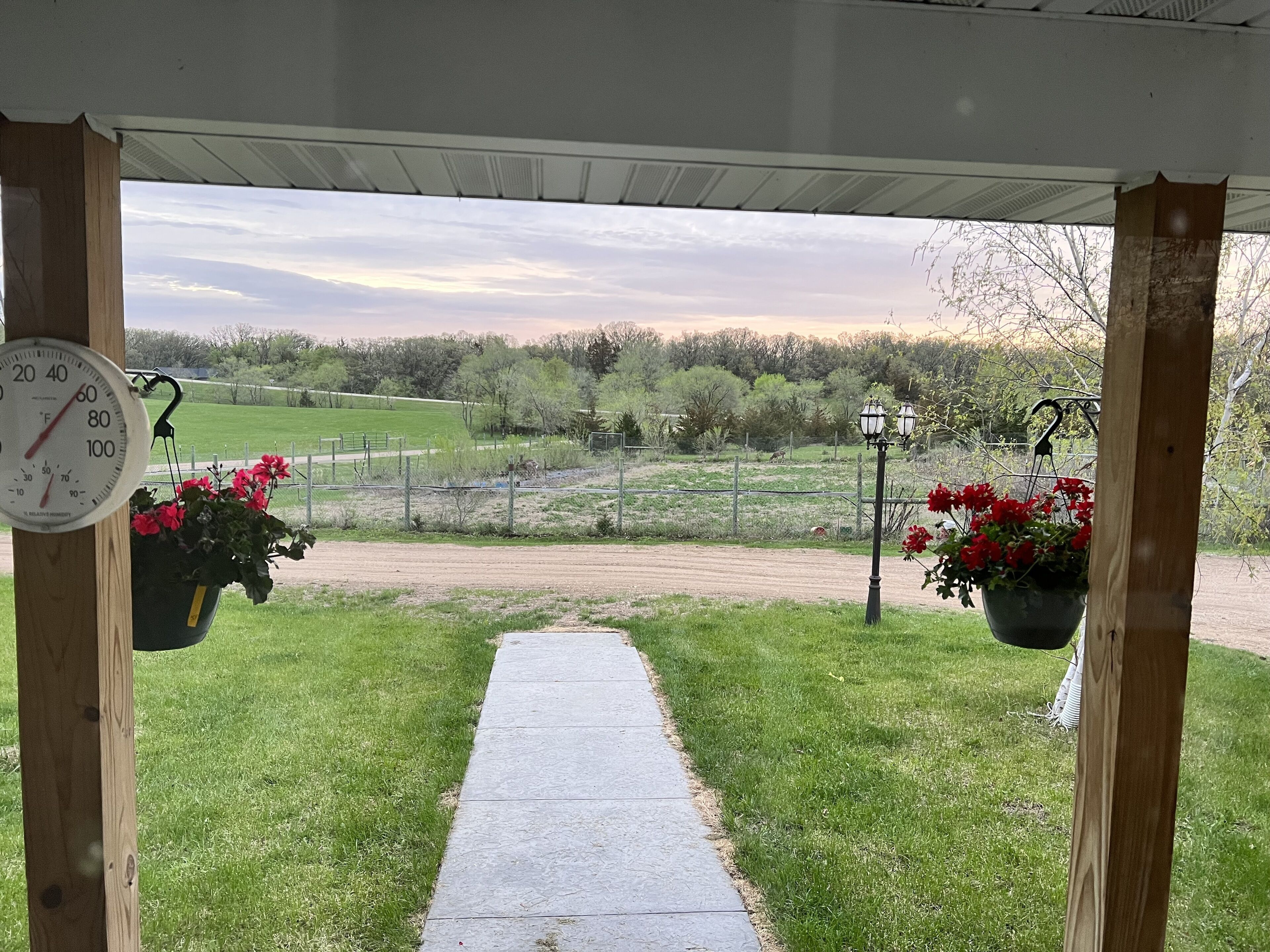 Overnattingsstedets uteområder