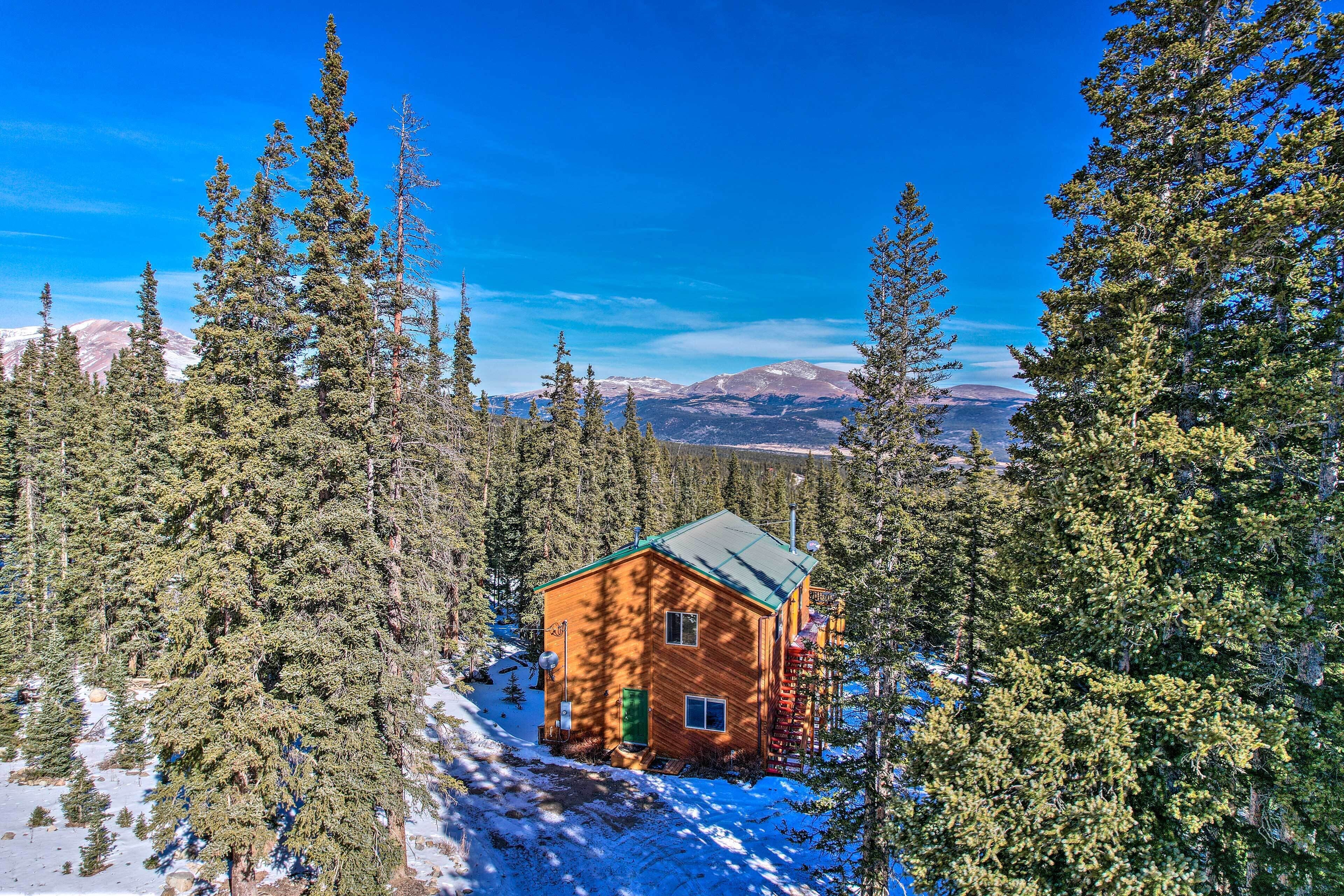 A cabin surrounded by tall evergreen trees with a clear blue sky in the background.