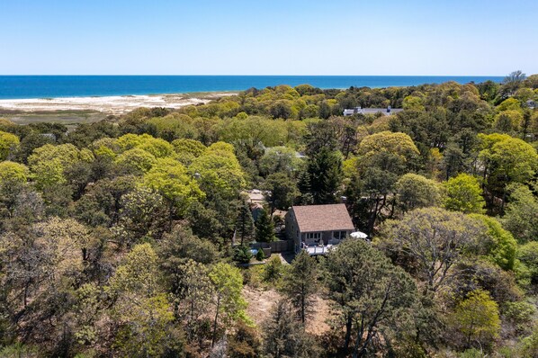 An aerial view of a property with a house surrounded by dense forest, a beach in the background, and a clear sky. - Peaceful Nauset Beach Sanctuary (Orleans)