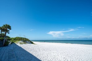 Una playa con un paseo marítimo de madera y palmeras.
