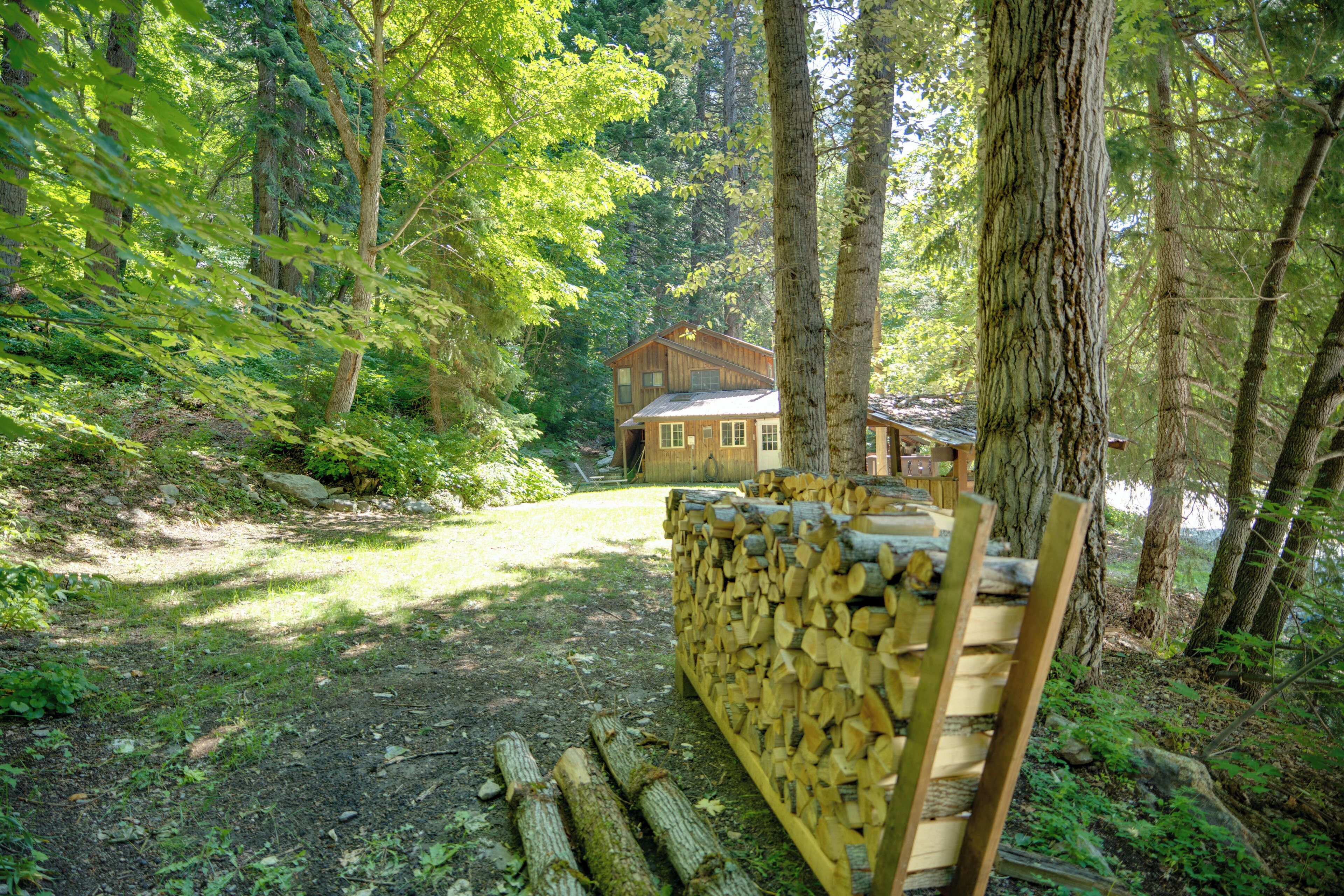 A rustic cabin surrounded by dense forest, with a stack of firewood in the foreground.