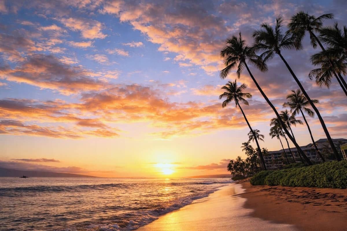 Ein Strand mit Palmen und einem Sonnenuntergang.
