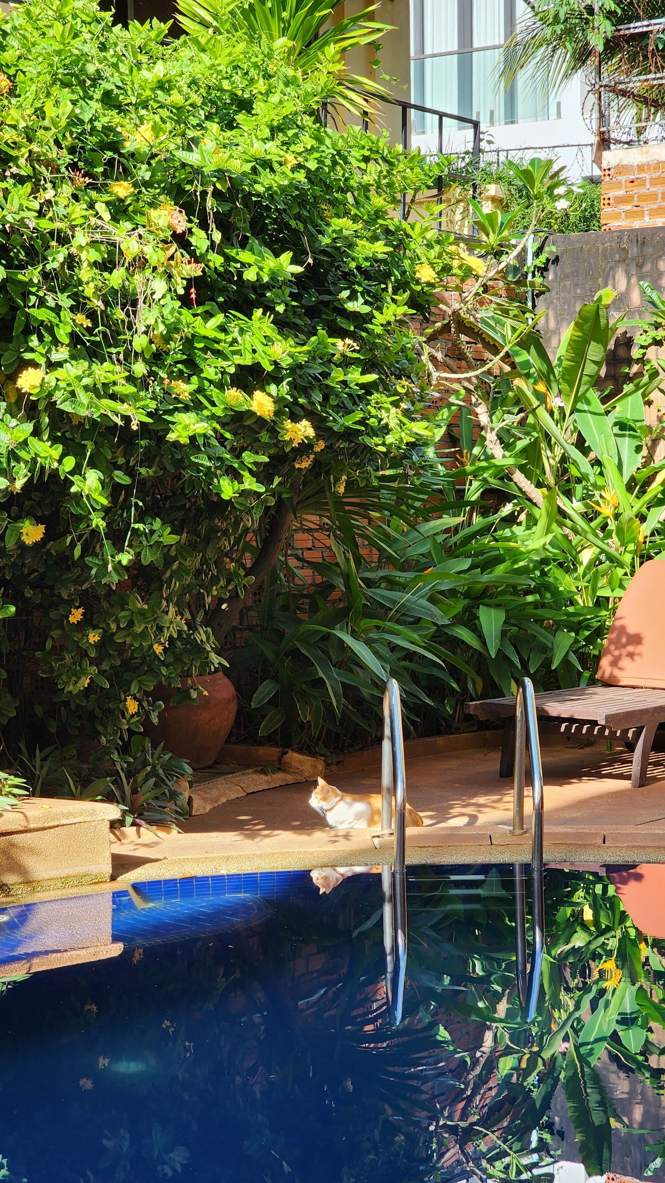 Foto - Den Hotel Totonou Siem Reap