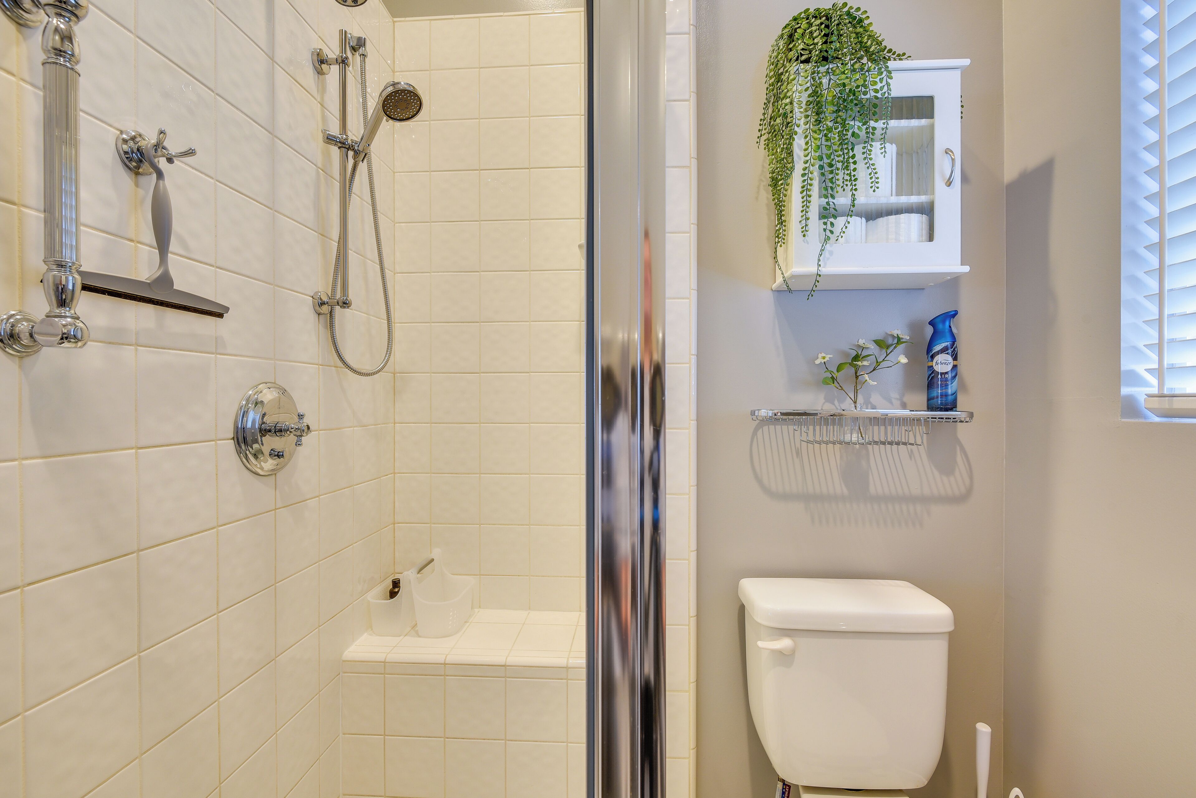 A bathroom with a shower, toilet, and a shelf with toiletries.