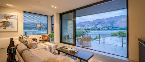 Smart TV, fireplace, books, stereo