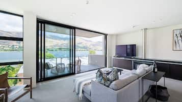 Smart TV, fireplace, books, stereo