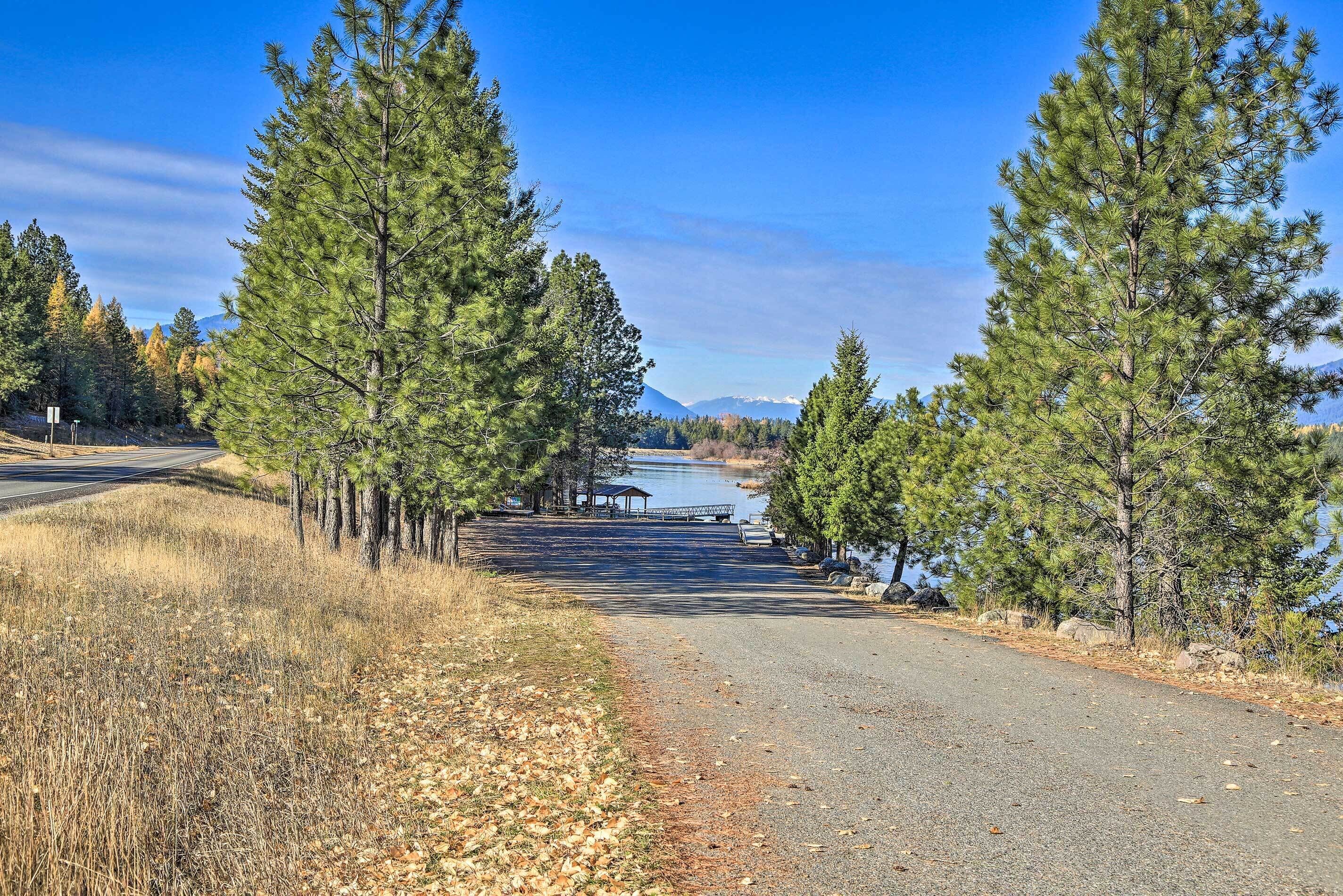 A paved road flanked by tall pine trees, leading to a body of water with a distant mountain range.