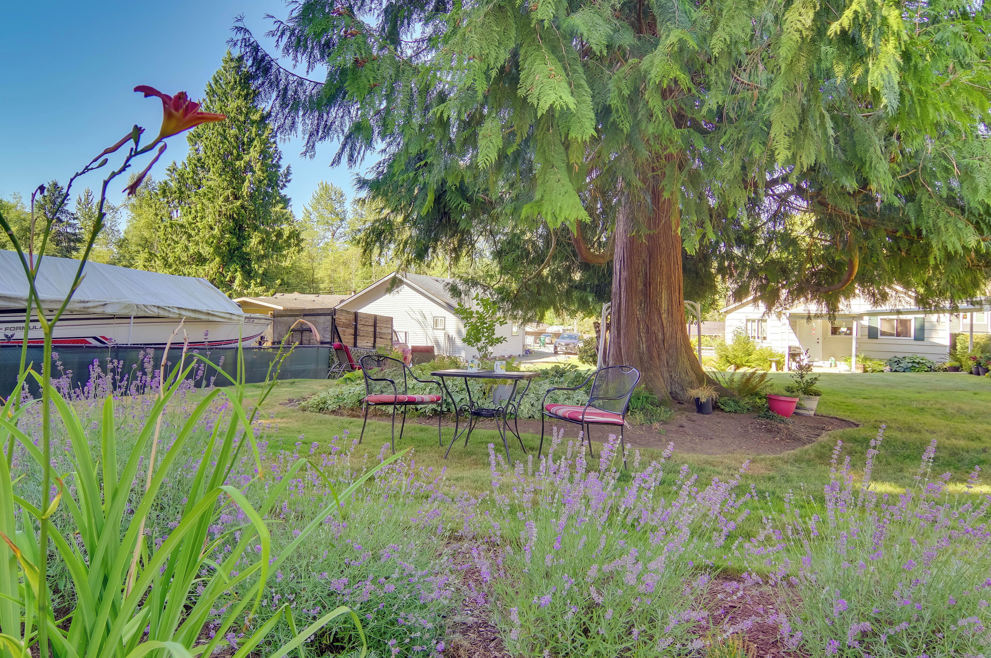 Ein Wohngebiet mit einem großen Baum, einer Terrasse mit Tisch und Stühlen sowie einem Zelt im Hintergrund.