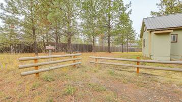 House (1 Bedroom) | Interior