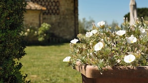 Ein Garten mit weißen Blüten in einem Blumenkasten, ein Steinhaus und ein klarer Himmel.
