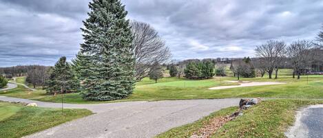 A park with a gravel path, green grass, and a large evergreen tree.