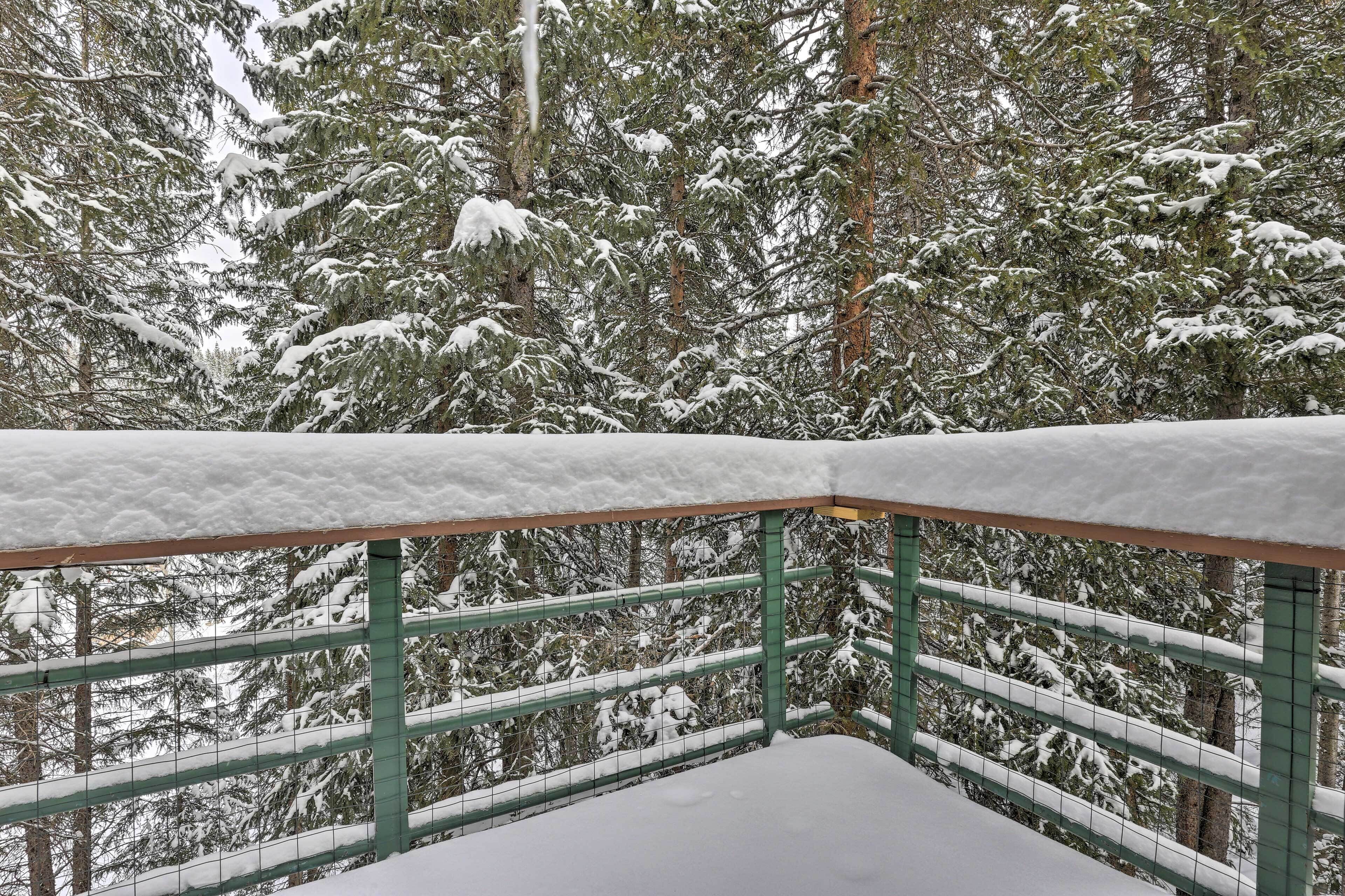 A snow-covered balcony with a metal railing, overlooking a dense forest of snow-laden trees.