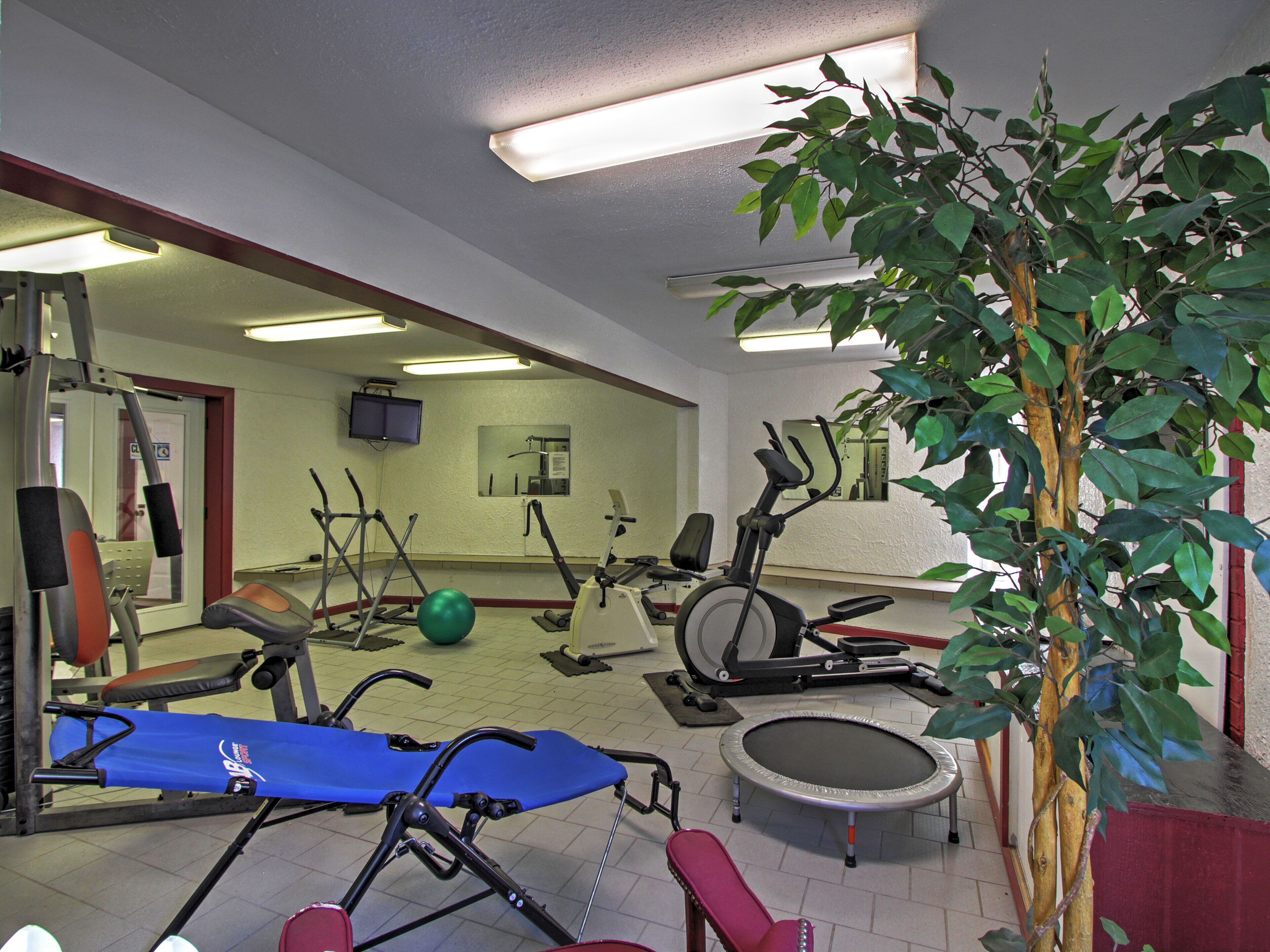 A gym with exercise equipment, a mirror, and a potted plant.