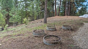 A forested area with a gravel path and three wooden planters with plants. - Private Mccall Apartment w/ Mountain View! (McCall)