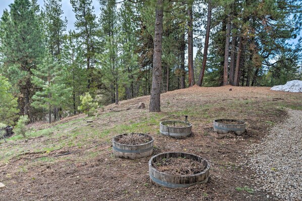 A forested area with a gravel path and three wooden planters with plants. - Private Mccall Apartment w/ Mountain View! (McCall)